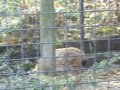 IMGP3317.JPG